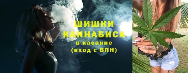 стафф Каменка