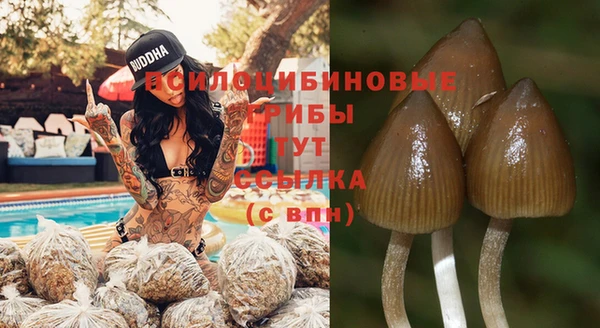 СК Каменск-Шахтинский