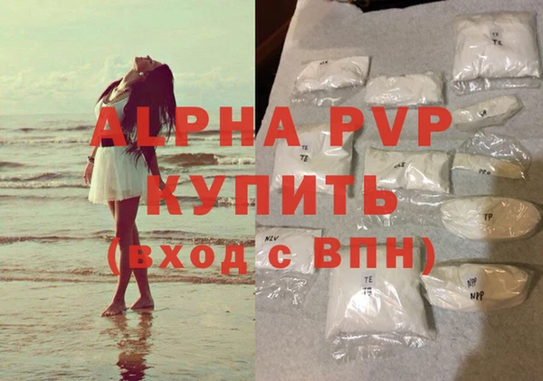 СК Каменск-Шахтинский