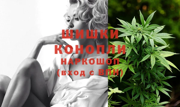 стафф Каменка