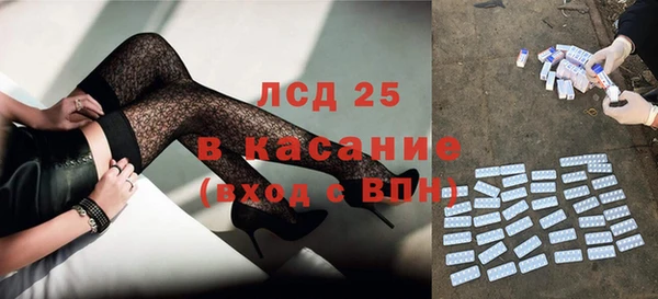 стафф Каменка