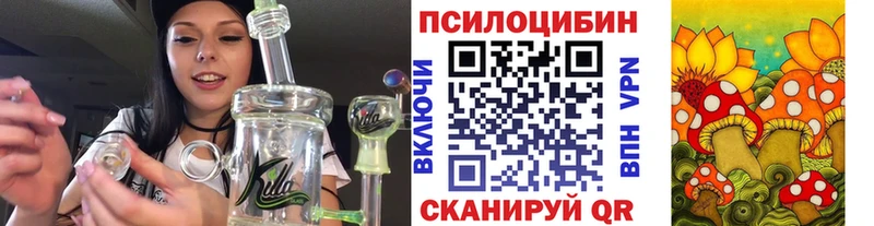 Галлюциногенные грибы Psilocybine cubensis  Купить закладки  Советская Гавань 